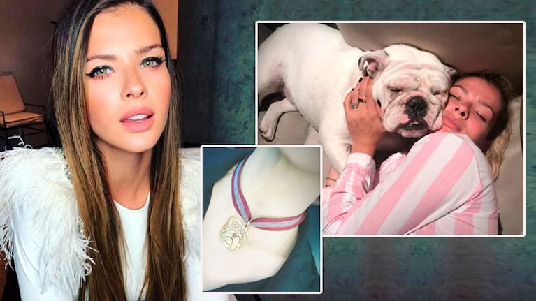 El gesto de amor de la China Suárez tras la muerte de su perra: ¡se hizo una medalla con la carita de Bandida!