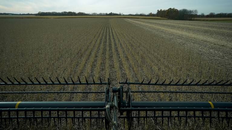 El Gobierno espera que el agro liquide soja por entre 7 mil y 8 mil millones de dólares hasta fin de año