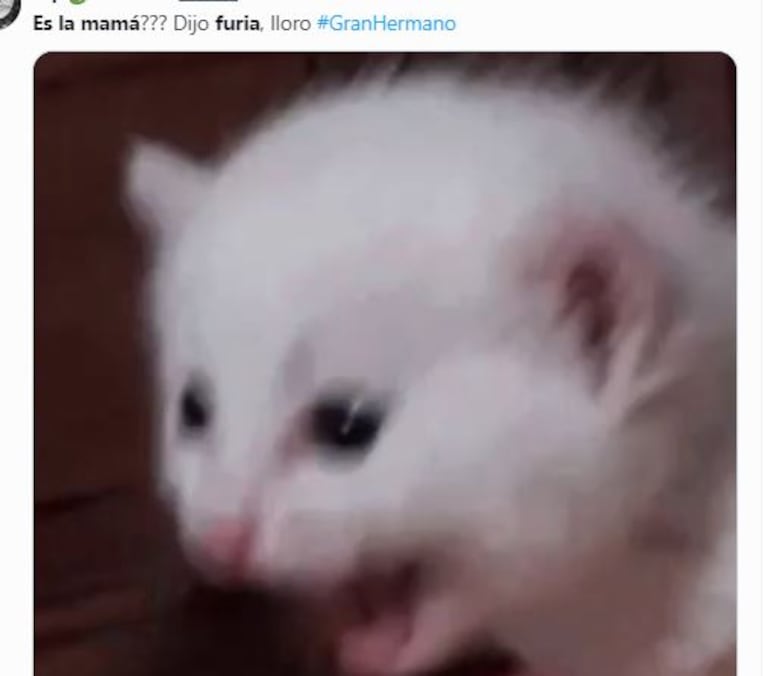 El inesperado comentario de Furia de Gran Hermano 2023 al ver al amigo de Martín Ku: fue viral y meme