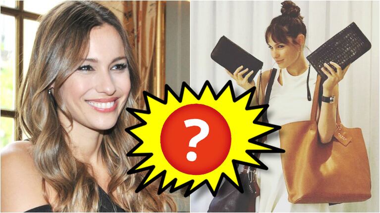 El infaltable de Pampita en su cartera (Fotos: Web)
