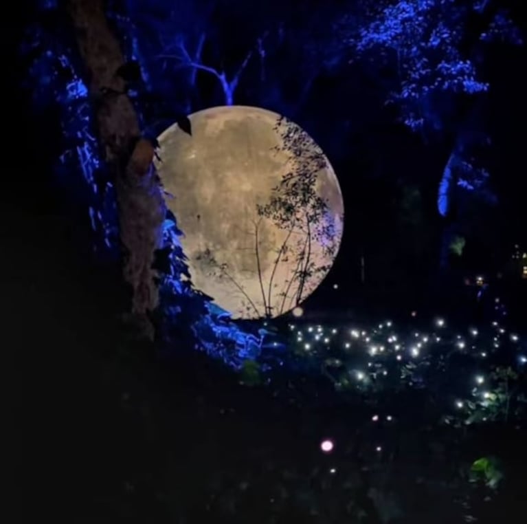 El Jardín Botánico de Buenos Aires se transforma en un espectáculo nocturno: conocé de qué se trata esta esperada muestra inmersiva
