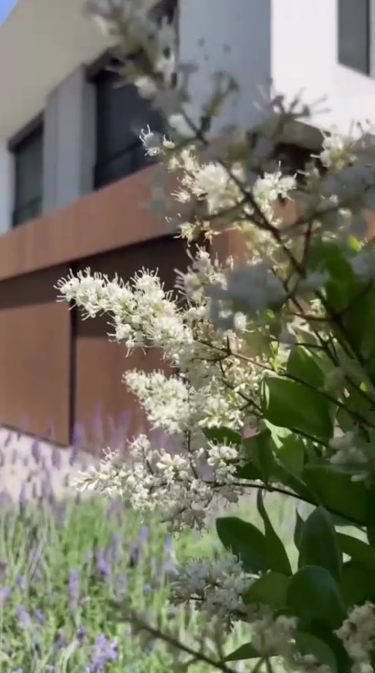 El jardín de Pampita, una fusión entre diseño mediterráneo, sustentabilidad y estilo tropical | Créditos: Instagram @pampitaoficial