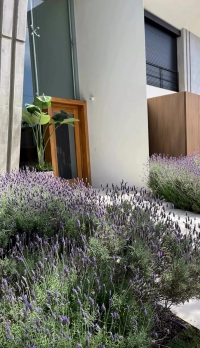 El jardín de Pampita, una fusión entre diseño mediterráneo, sustentabilidad y estilo tropical | Créditos: Instagram @pampitaoficial