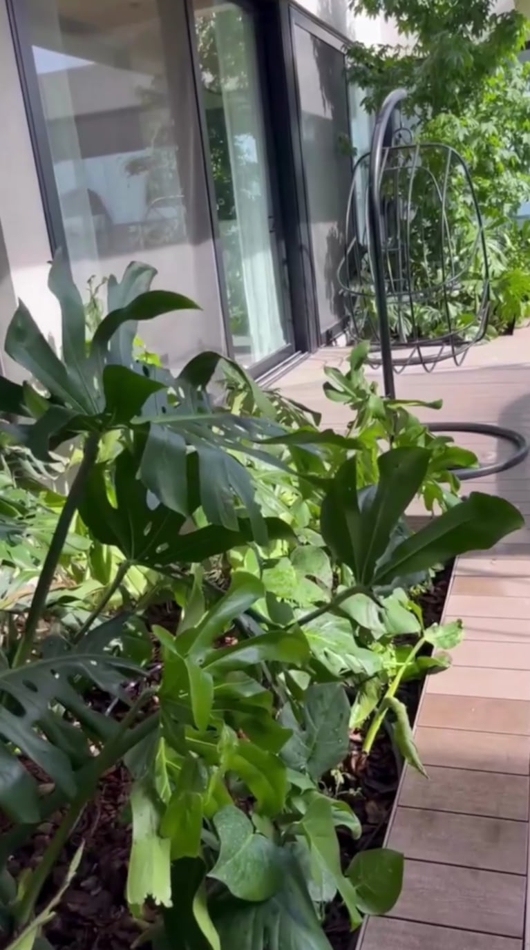 El jardín de Pampita, una fusión entre diseño mediterráneo, sustentabilidad y estilo tropical | Créditos: Instagram @pampitaoficial