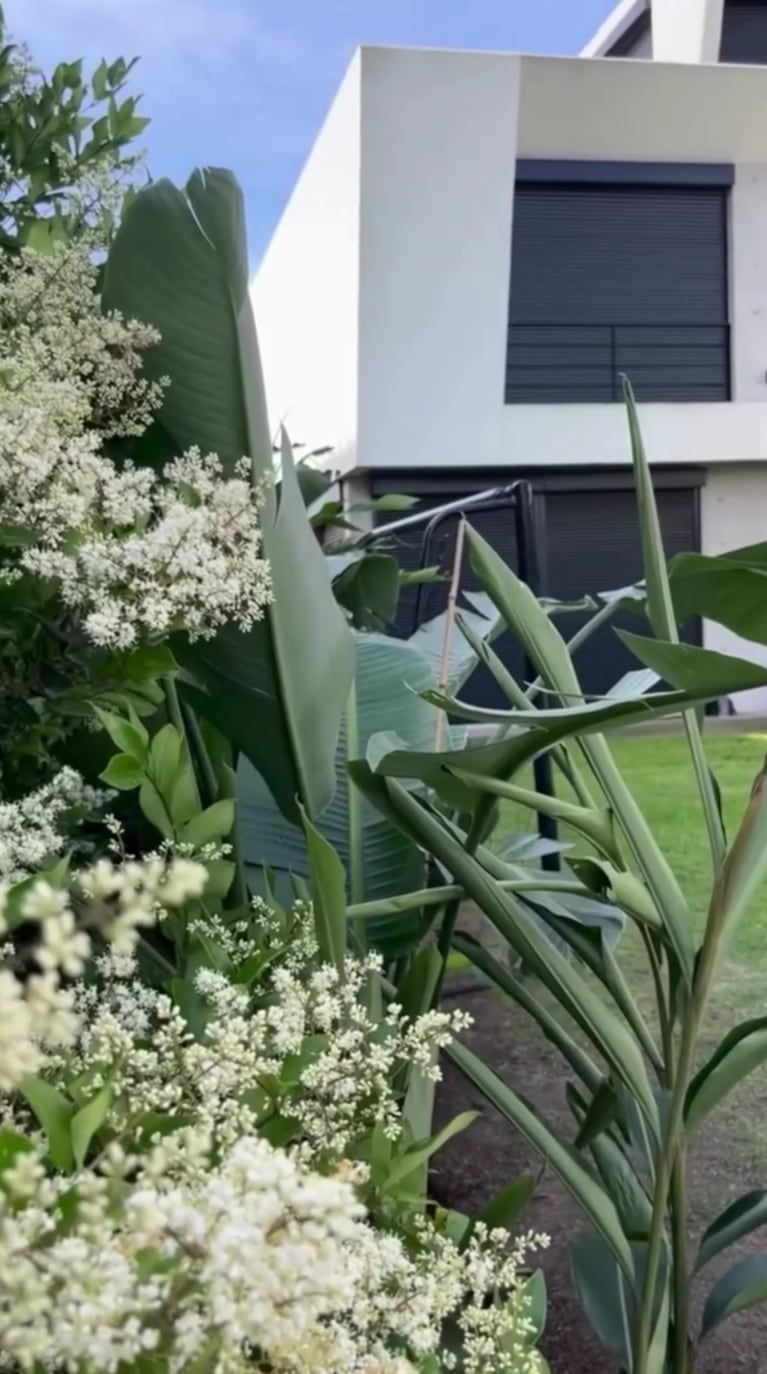 El jardín de Pampita, una fusión entre diseño mediterráneo, sustentabilidad y estilo tropical | Créditos: Instagram @pampitaoficial