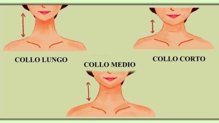  El largo de tu cuello puede revelar muchos aspectos de tu personalidad. Foto: Lettoquotidiano