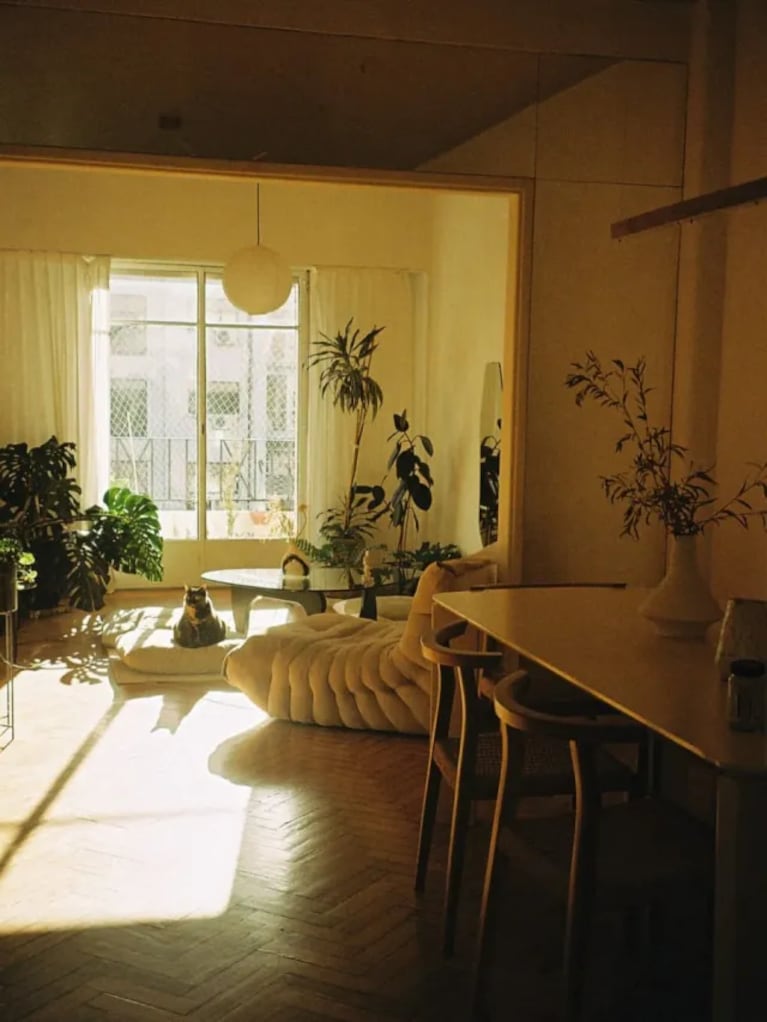  El living del nuevo departamento, bañado de luz natural, con sofá de líneas curvas, plantas de interior y la gata de la pareja como protagonista.
Fuente: Instagram @deboranishimoto