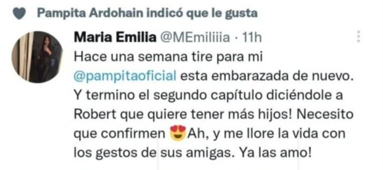 El llamativo like de Pampita a un mensaje sobre un posible embarazo 