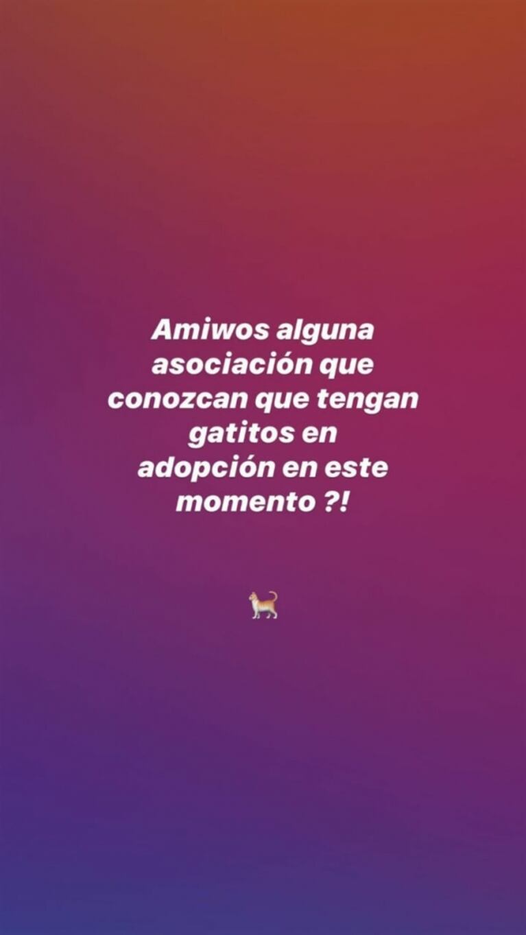 El llanto de Flor Jazmín Peña, movilizada en plena cuarentena: "Estoy tan sensible; estoy mirando gatitos"