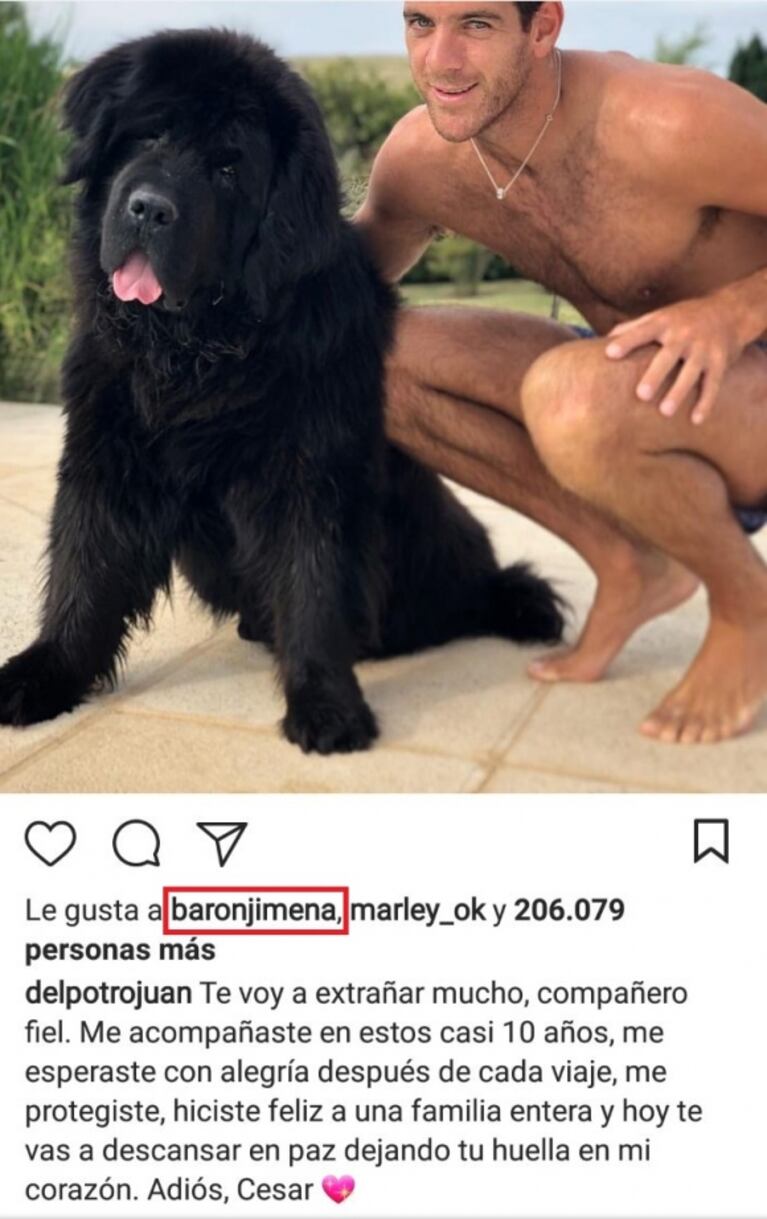 El "me gusta" de Jimena Barón al doloroso posteo de Juan Martín del Potro