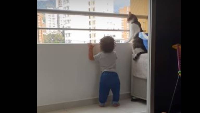 El mejor guardián: gatito cuida a un bebé para que no caiga del balcón