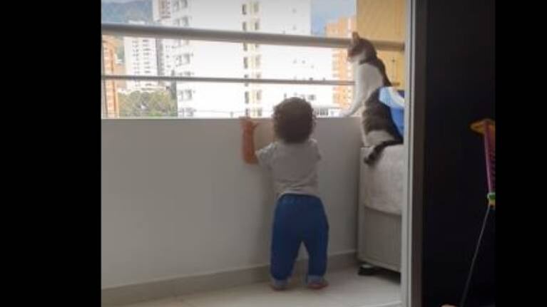 El mejor guardián: gatito cuida a un bebé para que no caiga del balcón