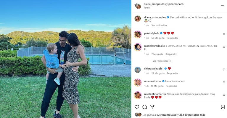 El mes pasado, Pico Mónaco y Diana Arnopoulos anunciaron que van a tener su segundo hijo. 