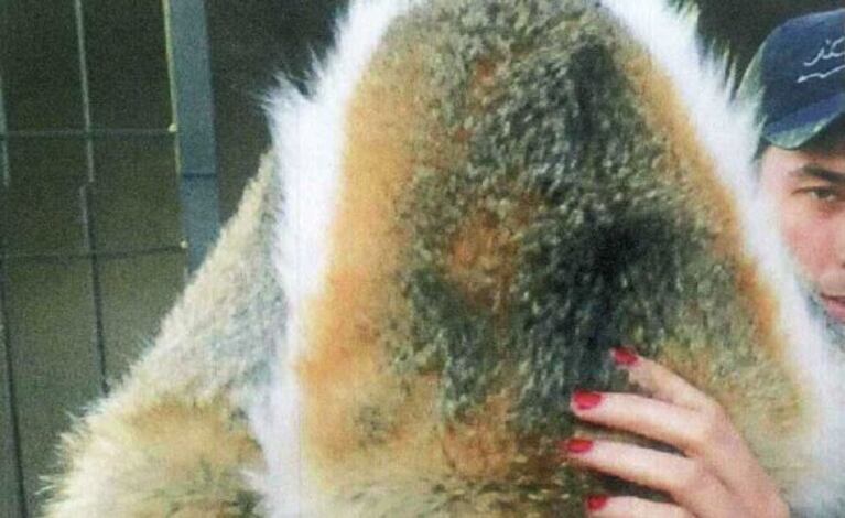 El método de Charlotte Caniggia para escaparse de los flashes. (Foto: Revista Caras)