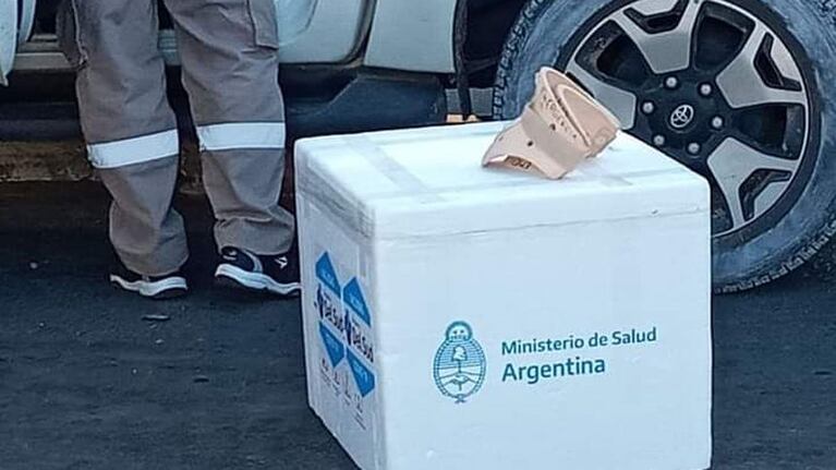 El ministro de Salud de Corrientes chocó una camioneta en la que trasladaba vacunas