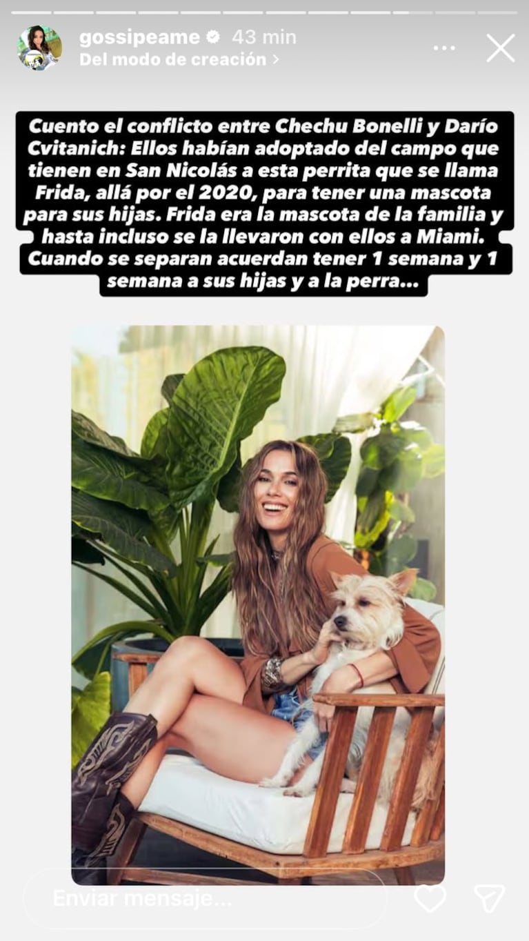 El nuevo conflicto entre Chechu Bonellli y Darío Cvitanich (Foto: Instagram/@gossipeame).