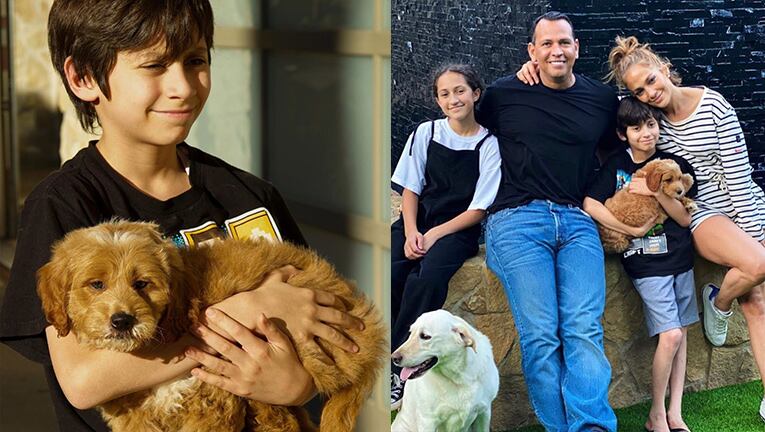 El nuevo perro de Max no tiene nombre, pero sí cuenta de Instagram.