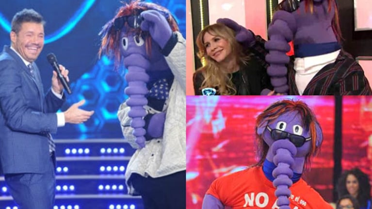 ¡El Oso Arturo vuelve a ShowMatch el lunes! (Fotos: Ideas del Sur y Captura).