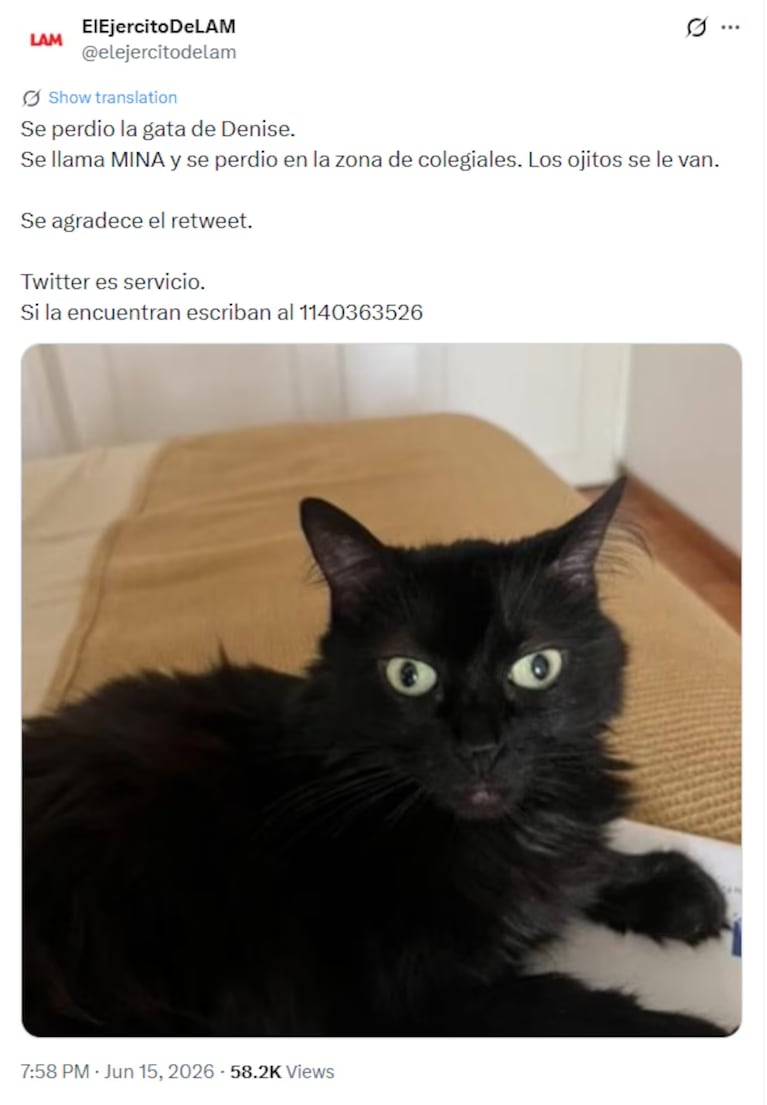 El pedido de LAM por la gata de Denise Dumas