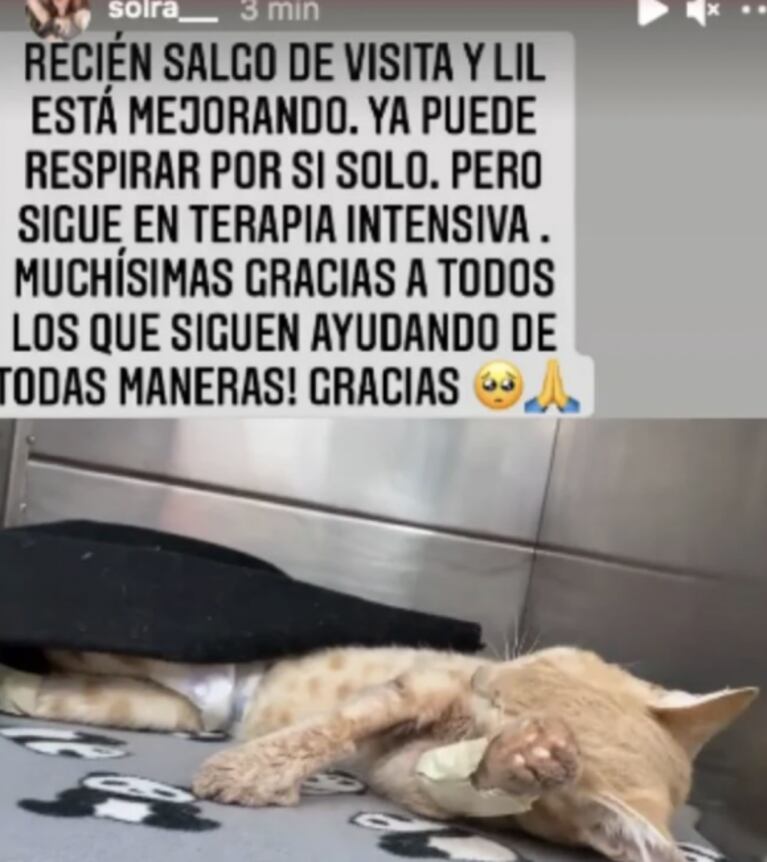 El pedido de Nazarena Vélez por la novia de su hijo: "La está pasando horrible"