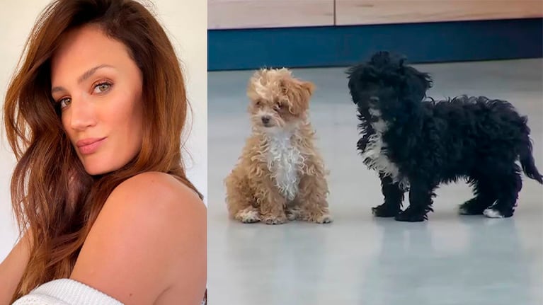 El pedido de Paula Chaves a Gran Hermano por Caramelo y Mora