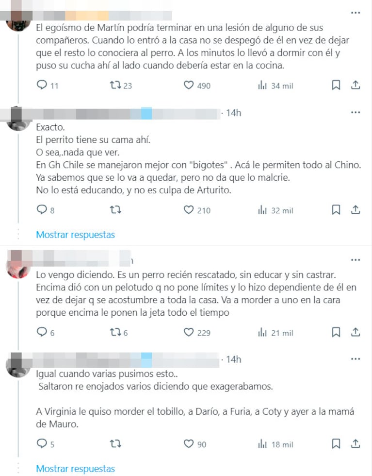 El perro Arturo atacó a Darío de Gran Hermano 2023: lo quiso morder y generó preocupación en la casa