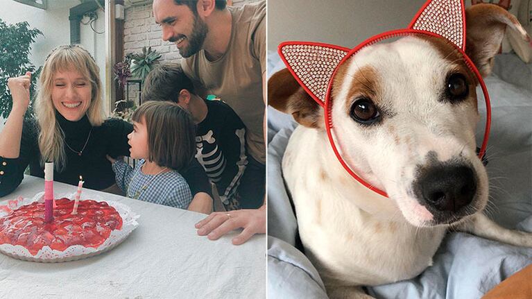 El perro de Brenda Gandini convirtió su cumpleaños en un divertido meme: No hay mejor imagen que nos represente