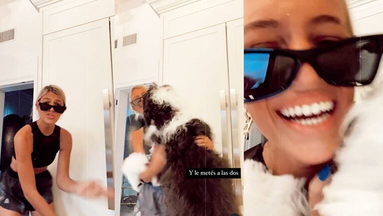 El perro de Stefi se coló en su coreo.