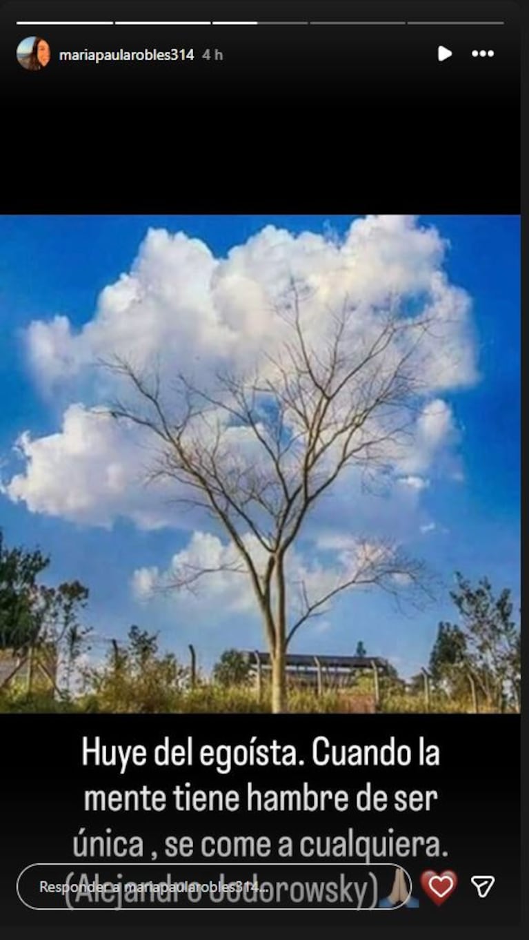 El picante posteo de Paula Robles que Juanita reposteó tras el conflicto con Marcelo Tinelli: “Egoísta”