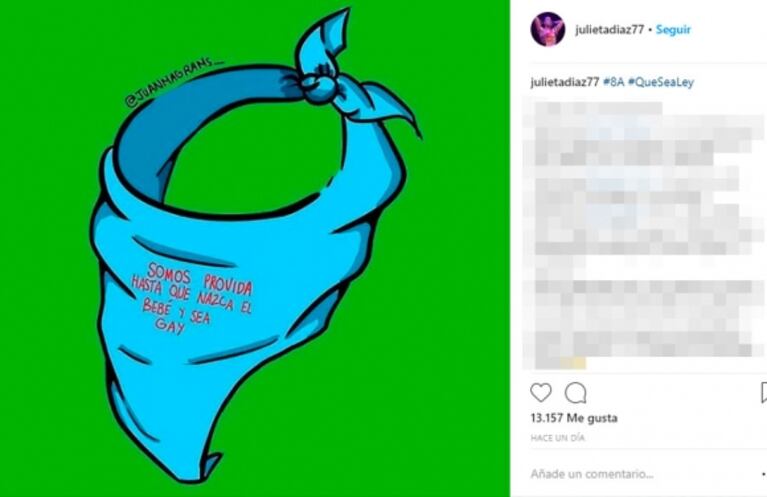 El polémico posteo de Julieta Díaz sobre la legalización del aborto, contra los "pañuelos celestes"