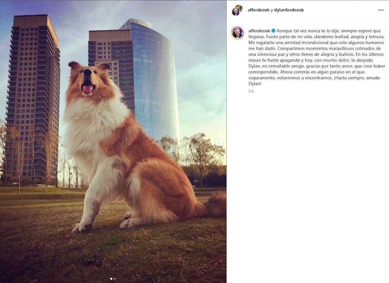 El posteo de Alberto Fernández dedicado a su perro Dylan (Foto: Instagram)