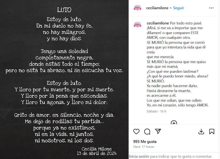 El posteo de Cecilia Milone sobre su historia con Chico Novarro (Foto: Instagram/@ceciliamilone).