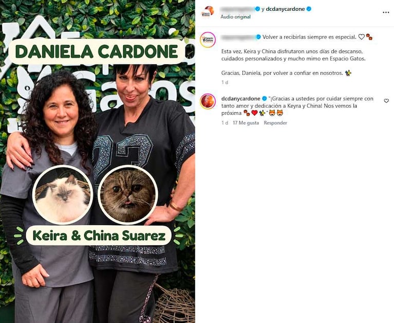 El posteo de Daniela Cardone sobre sus gatas, entre ellas "China Suárez" (Foto: Instagram @dcdanycardone)