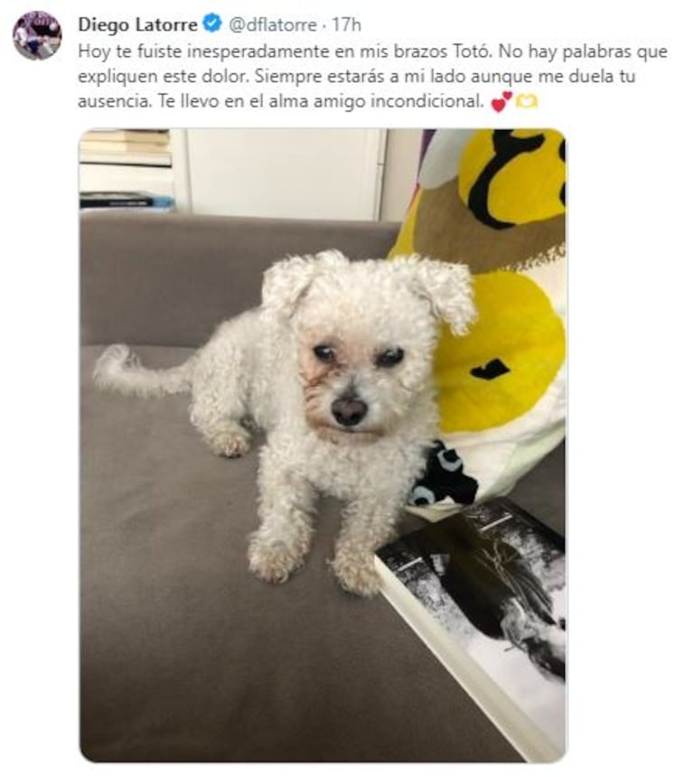 El posteo de Diego Latorre para su perro Totó (Foto: Twitter @dflatorre)