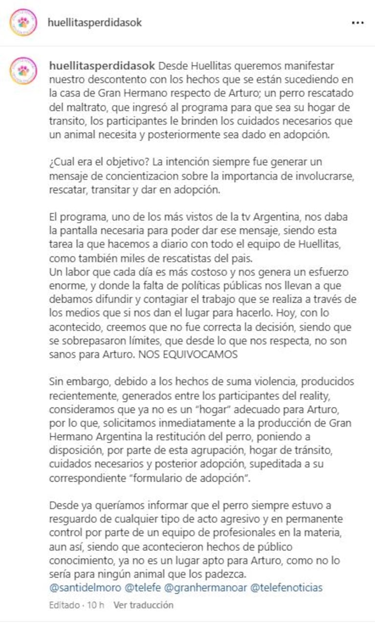 El posteo de la proteccionista que recogió a Arturo ante los actos de violencia en Gran Hermano (Foto: Instagram @huellitasperdidasok)