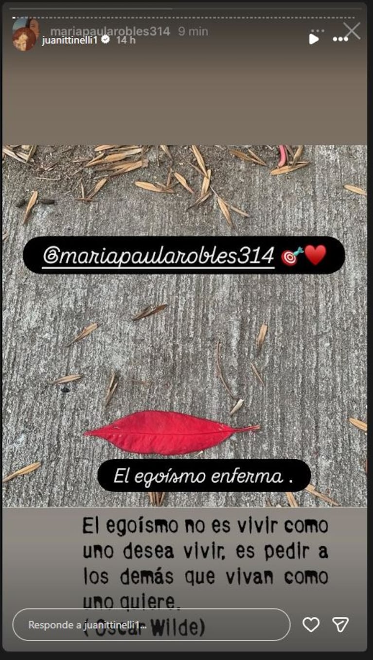 El posteo de Paula Robles que replicó Juana, ¿contra Marcelo Tinelli?