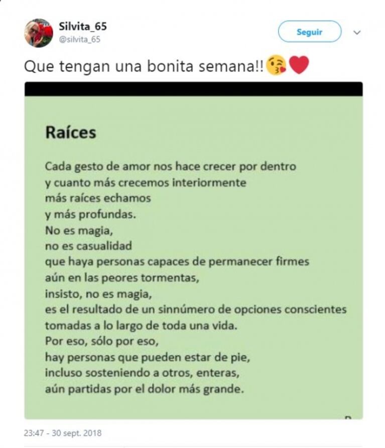 El profundo tweet de Silvia D’Auro, en medio del embarazo de Morena y el silencio de Jorge Rial