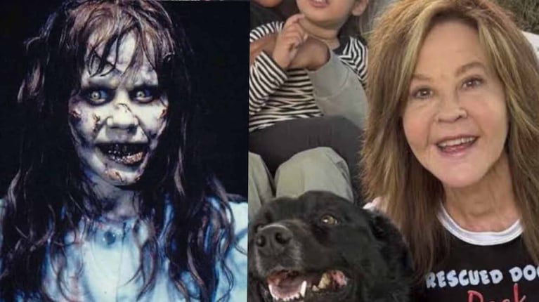 El refugio de Linda Blair fue allanado: qué pasó con los más de 100 perros de la actriz de “El exorcista”