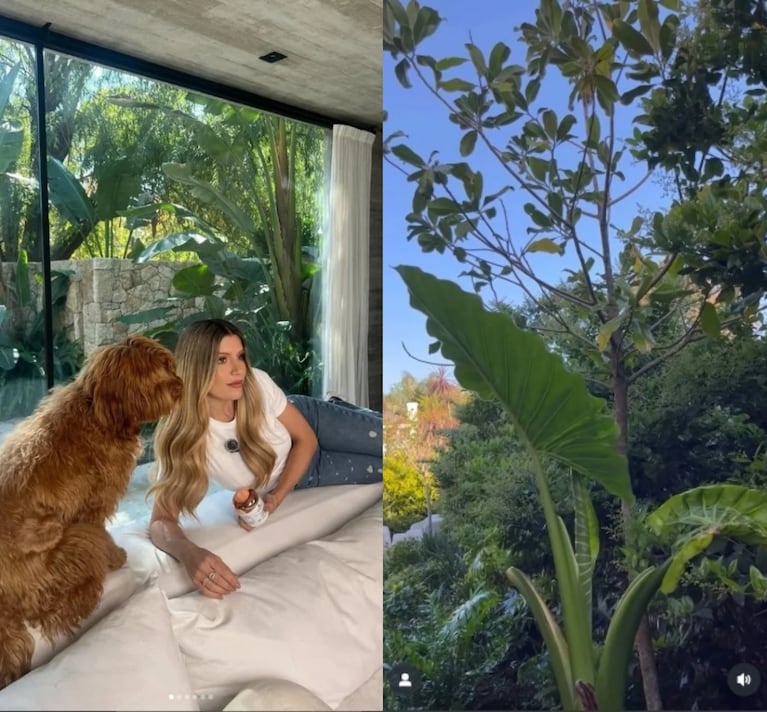 El refugio verde de Laurita Fernández: así es su jardín selvático. CRÉDITO: Instagram