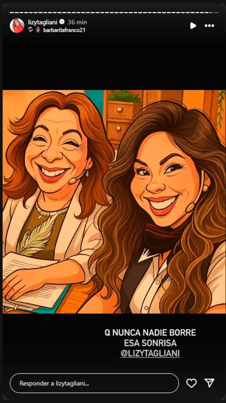 El reposteo de Lizy Tagliani de la caricatura que compartió Barby Franco (Foto: Instagram @lizytagliani)