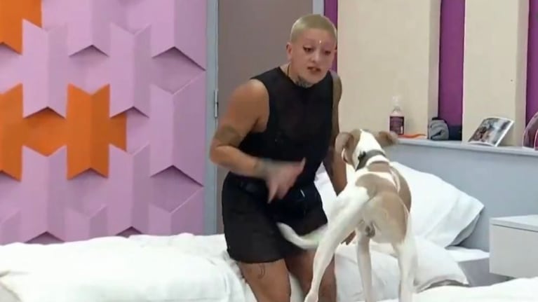 El reto de Furia a Arturo en Gran Hermano