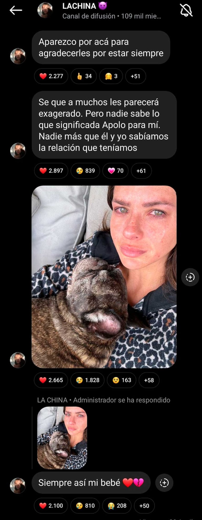 El sentido posteo de la China Suárez en su canal junto a su perrito muerto ayer (Foto: Instagram)