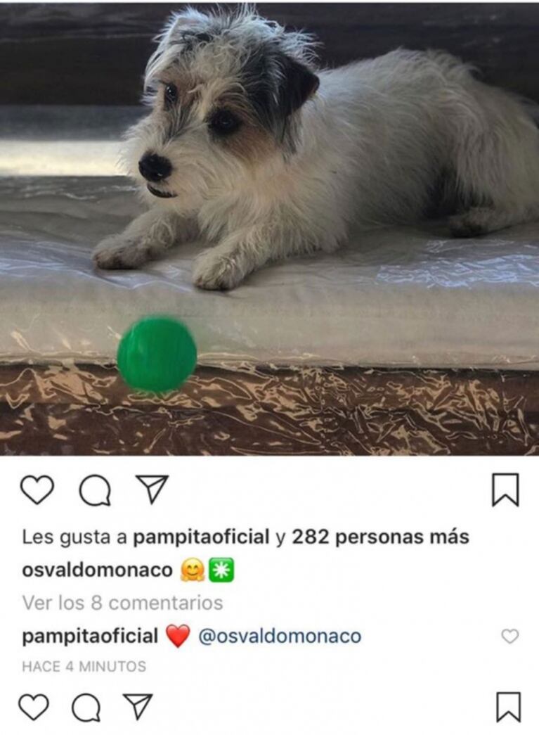 El tierno gesto 2.0 de Pampita a Pico Mónaco en medio de la crisis