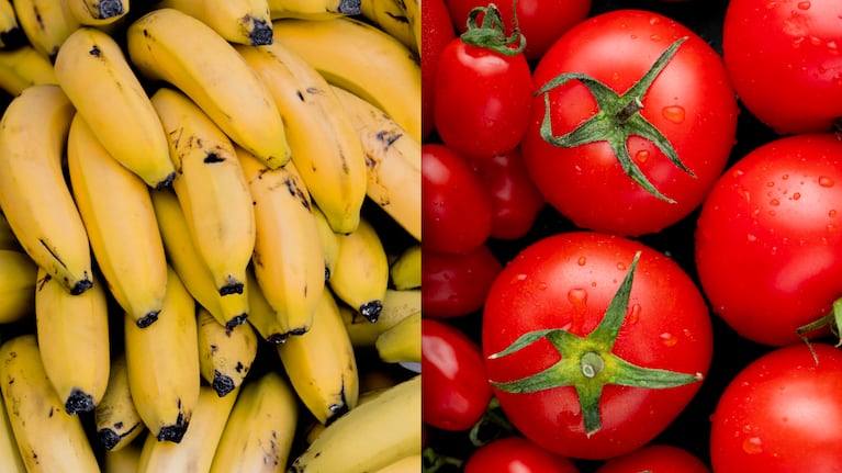El truco que pocos conocen para madurar rápidamente los tomates. Foto: Freepik.