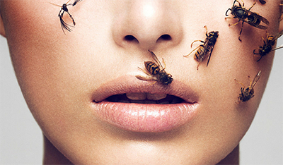 El veneno de abeja: ¿una nueva solución antienvejecimiento?  