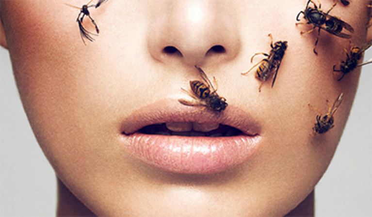 El veneno de abeja: ¿una nueva solución antienvejecimiento?  
