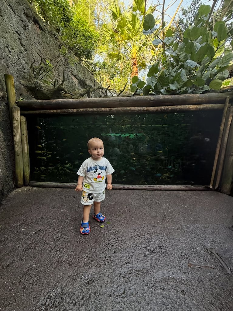 El viaje de Sol Pérez a Disney con su hijo, Marco (Foto: Instagram @lasobrideperez)