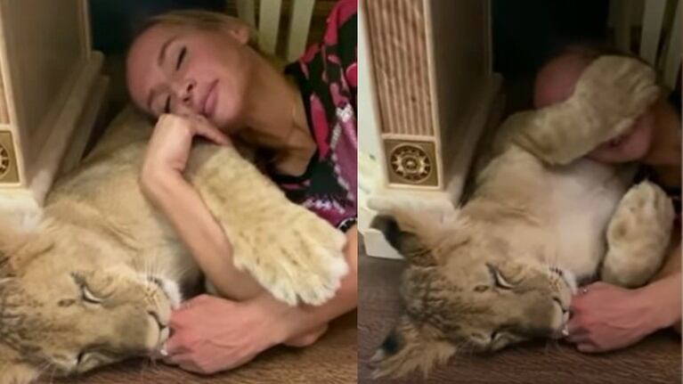 El vídeo de una mujer rusa durmiendo junto a un león se ha hecho viral en redes sociales
