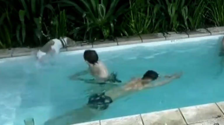 El video del tremendo accidente de Arturo en Gran Hermano: el perro se cayó a la pileta y Bautista lo salvó