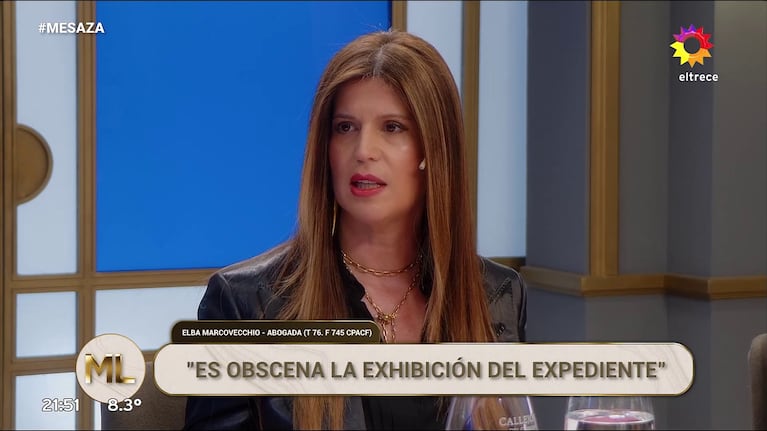 Elba Marcovecchio en la Noche de Mirtha (Foto: captura de eltrece).